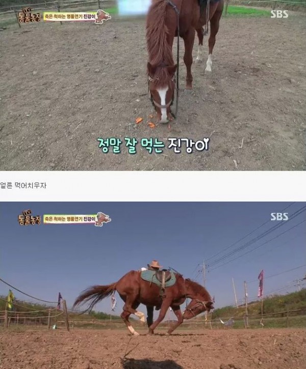 afa22ed9020fefb68362c3e282053b17f7792ac3a5879c428ce79564.jpg [펌] 역대급 엄살