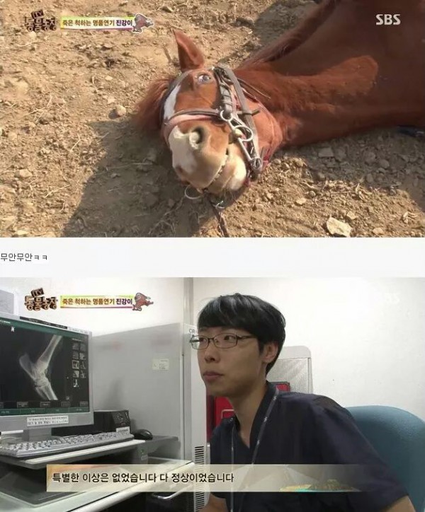 2aad320c14f673966b20aad16f8d614983cefa537af74685a035c8f5.jpg [펌] 역대급 엄살