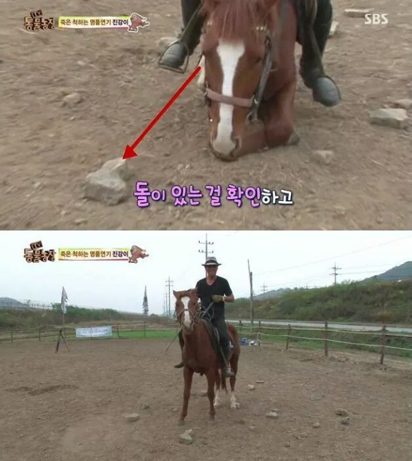 a42a2a1d825b0fb83060c99bbacf62d2ee8b717b34de56b05382e936.jpg [펌] 역대급 엄살