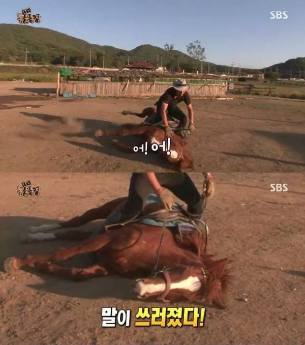 c695e6b477be5dd532dbbd613af07c0a17c02aca1135535755fa907a.jpg [펌] 역대급 엄살