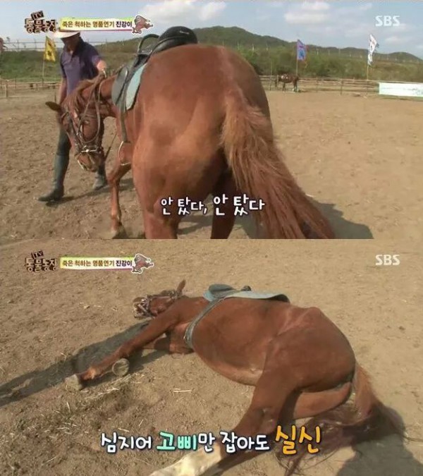 059926f550f845d289b9791a0658baefb4ebdb3bb905948ed0c7d55e.jpg [펌] 역대급 엄살