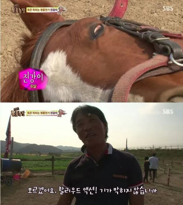 b362f037653483a9742a728e72f9d0513e546bfed1c7e2ddae27cd7a.jpg [펌] 역대급 엄살