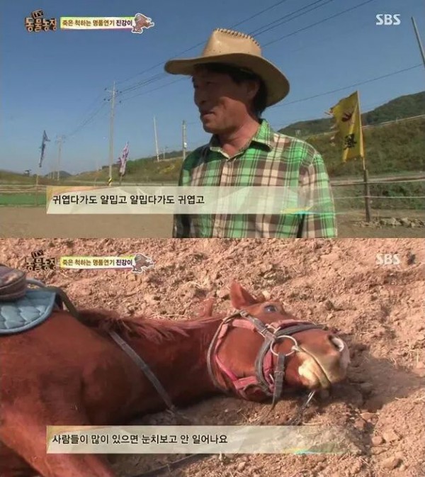 3d3d923fe43b8448d832dc470aad99adce1aabf0fc1db58ef9059232.jpg [펌] 역대급 엄살