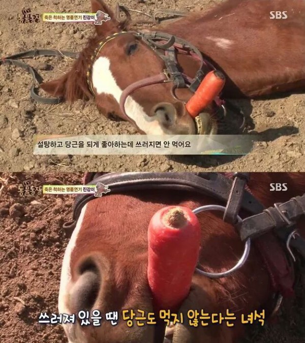 3c5e053eb008f8fe75bc6f25a11c56918827e8f5f810baf6b9a44d1f.jpg [펌] 역대급 엄살