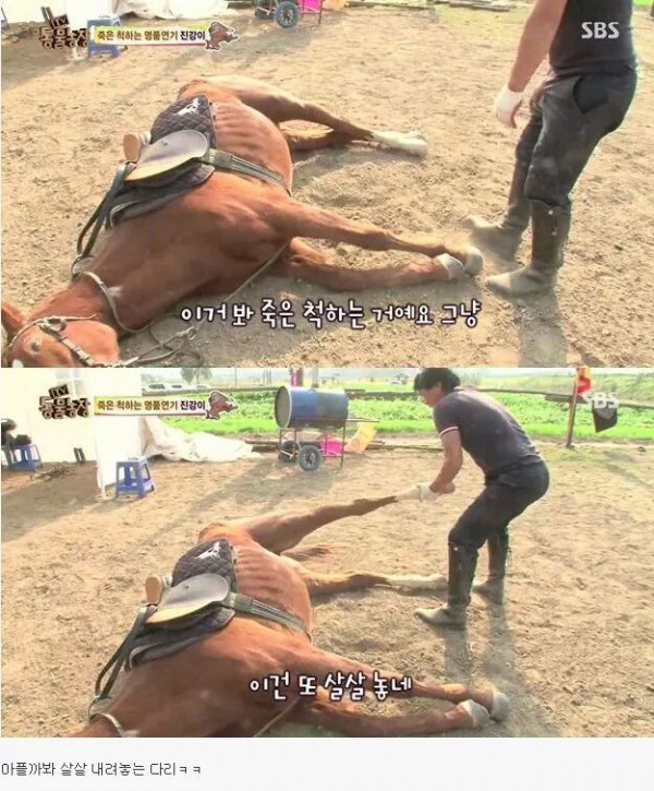 22b1e1037a598873cb6bc6d8e10544ff9bd97c32ca7af5f83d49fd48.jpg [펌] 역대급 엄살