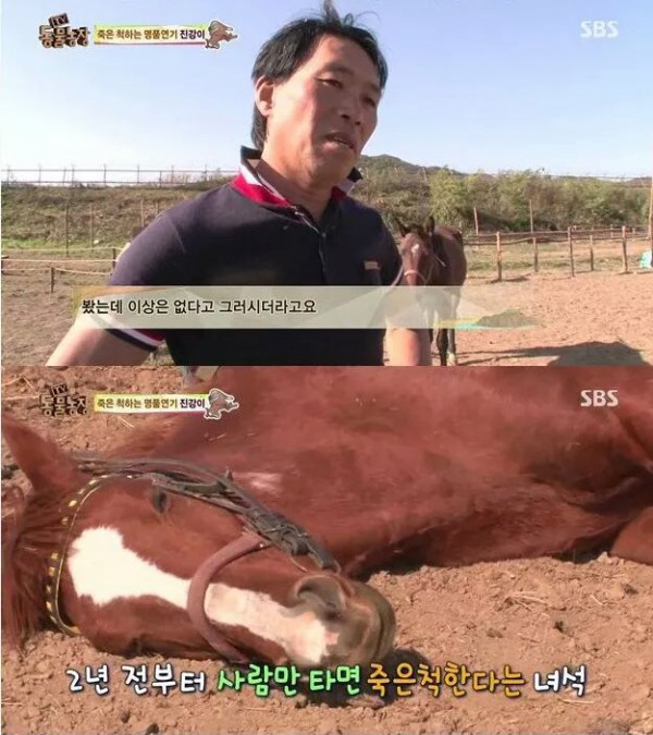 392c105d461499beda8d1c0c2e76c2a6cd278097635fe3492c1cdced.jpg [펌] 역대급 엄살