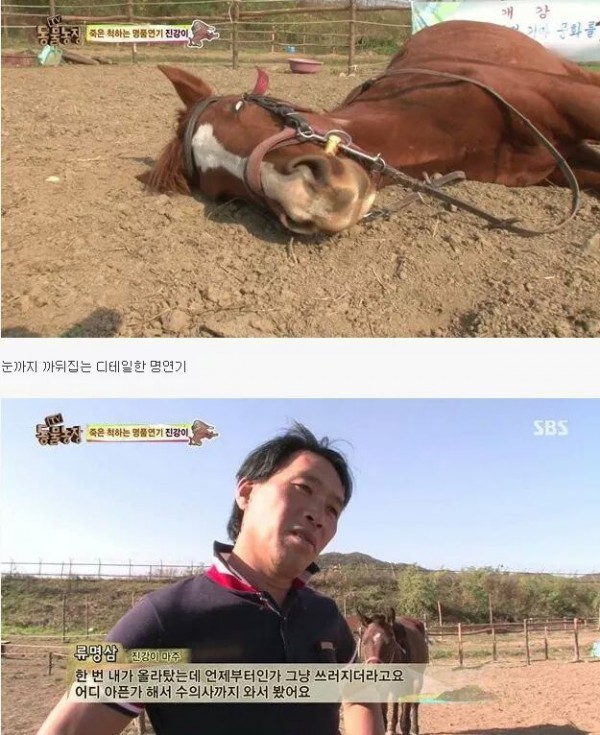 5d81d092db670bde4bc4a5aa3e4f872e0cc71c4874ded7be4a4e9c1c.jpg [펌] 역대급 엄살