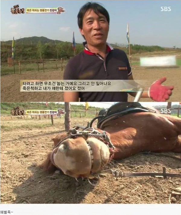 bb8d5eed4d193290927c39f10375a0fad7d6ee909c9fd179cef4e87f.jpg [펌] 역대급 엄살