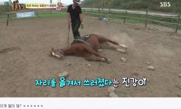 002122ad733f6a1913e61f0907a85115c2bd3358dd417efba4160b88.jpg [펌] 역대급 엄살