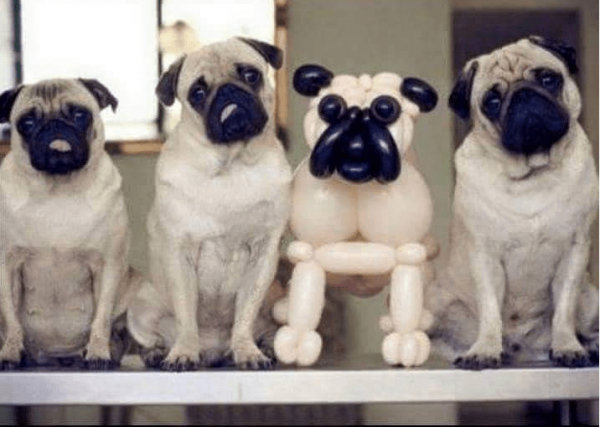 잠깐...우리중에 스파이가 있는거 같다...