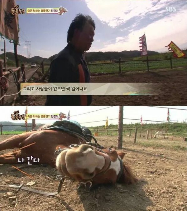 49a7f4d5d1d471e207ca9a3b361f62234d8e67f2ab76bdb2f4b44b77.jpg [펌] 역대급 엄살