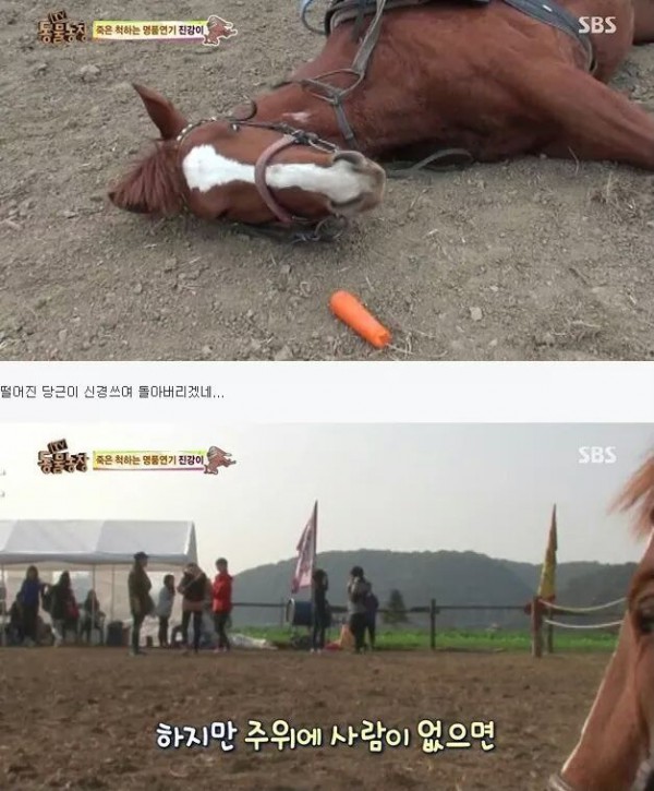 6b33e15c04758a1494a5fee433192a1004af3d198c17ce2fbdc1f0ea.jpg [펌] 역대급 엄살