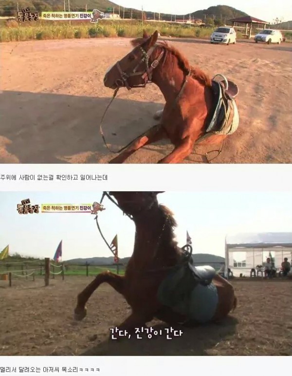 cbf856cf0b6f6d293cce30a9fa0ef54fd98270b5ff1bb8942aeb9ca6.jpg [펌] 역대급 엄살