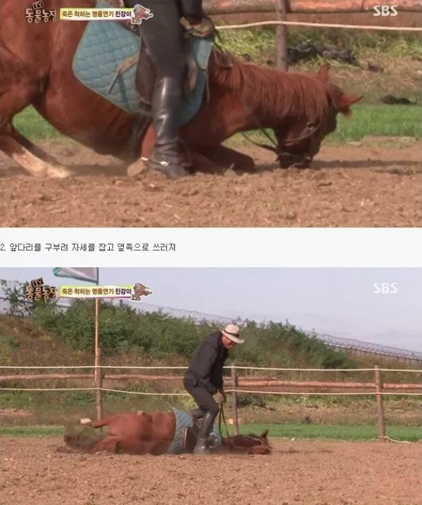 77f44c6423a89f5394a760dc5678247fdd533a5ef98b0f3e47409cc9.jpg [펌] 역대급 엄살