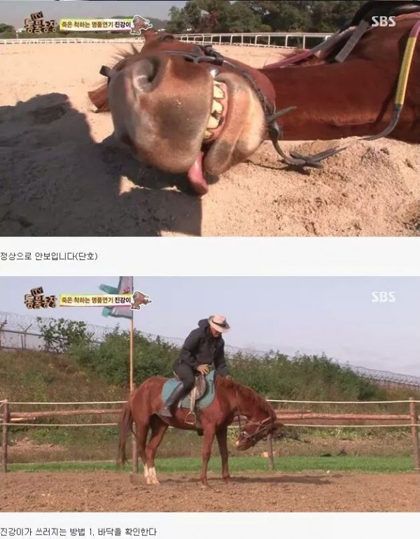 e5e1415488ca7732544af67fae41e854ecdb102a5441c583bdc72e37.jpg [펌] 역대급 엄살