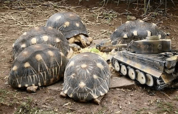 잠깐...우리중에 스파이가 있는거 같다...
