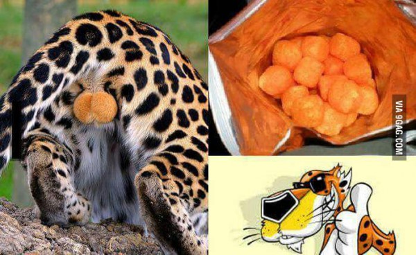 So-now-you-know-what-cheetos-are.jpg 치토스의 비밀
