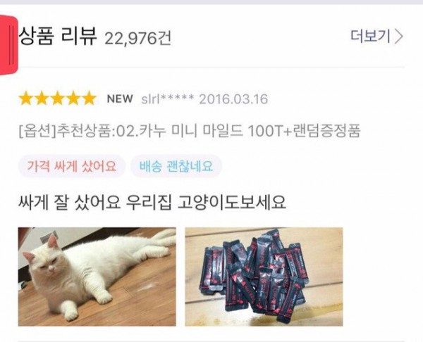 상품평에 고양이자랑.jpg