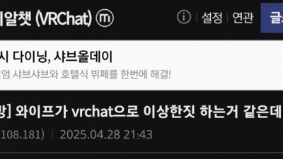 역대급 사건이 터진 VR챗