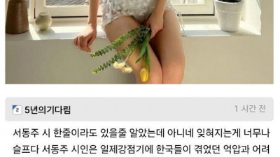 서동주 비키니 사진에 달린 댓글 레전드 
