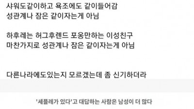 일본의 다양한 남사친 여사친 관계