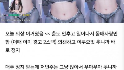 치지직 정지당한 게 이해 안된다는 원이지라