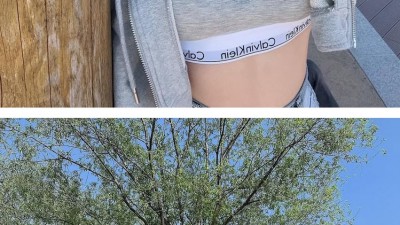 오늘자 방송 은퇴한 코코 근황