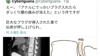 거대 딜도의 효능 ㄷㄷㄷ