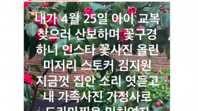 <현재까지스토킹김지원들 소돼지보유국정치인들 실세놀이>