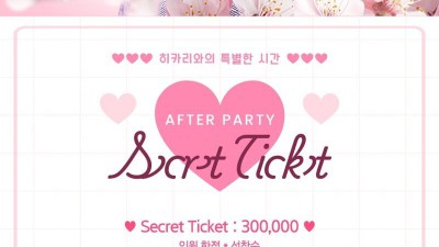 AV 배우 아오조라 히카리 한국 팬미팅 개최