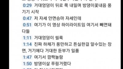 엉덩이를 연구하는 ㅈ문가